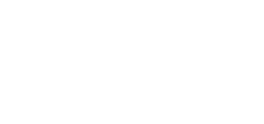 logo_cssbe