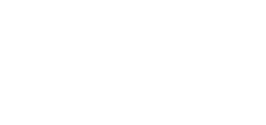 logo_sae